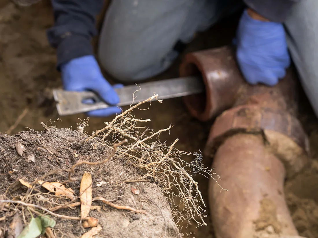 Plumber clearing a water line